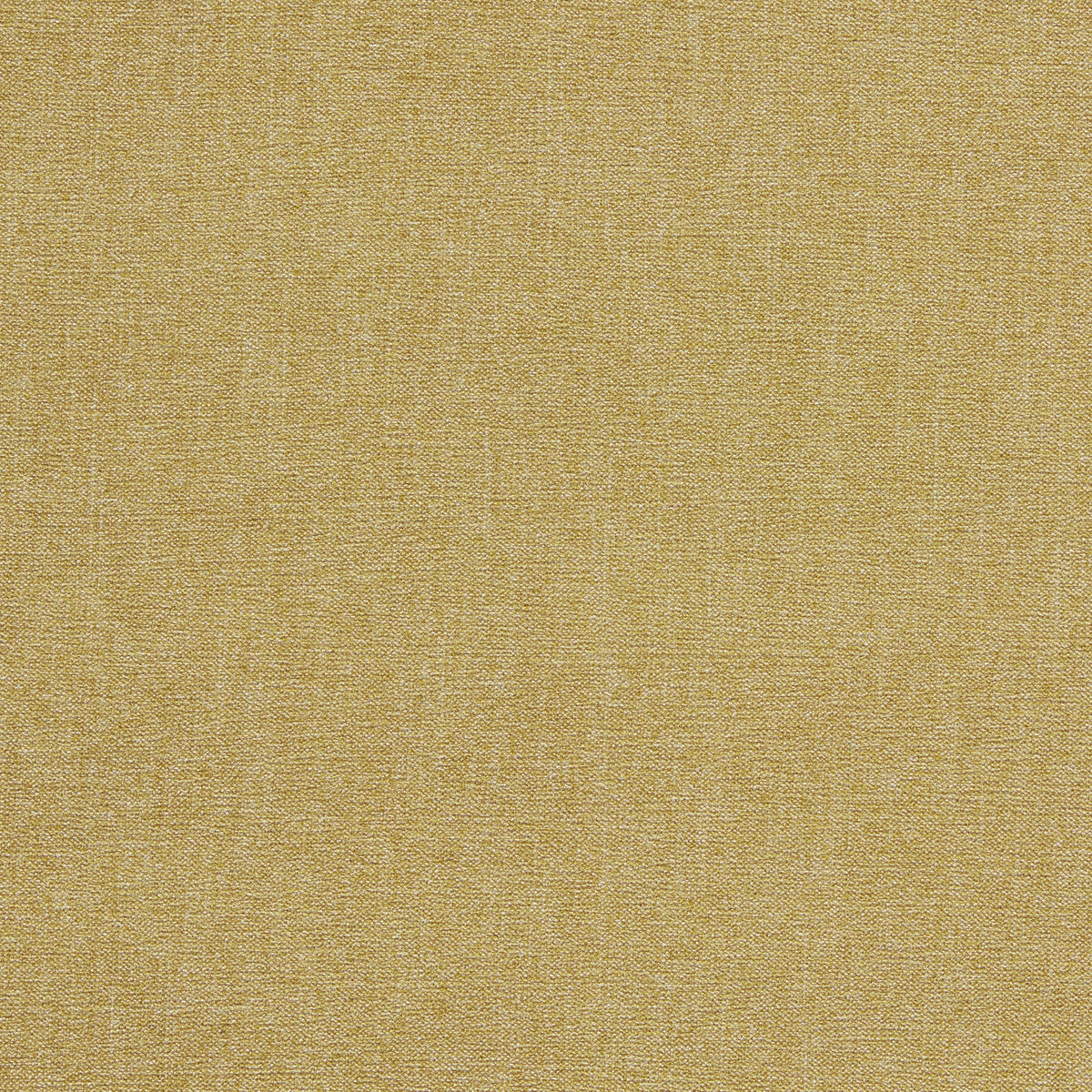 Clarke & Clarke JAIPUR ANTIQUE Upholstery Fabric