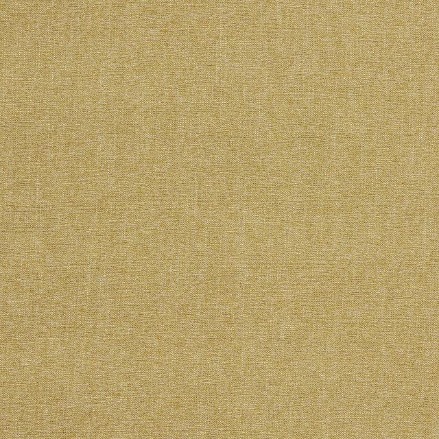 Clarke & Clarke JAIPUR ANTIQUE Upholstery Fabric