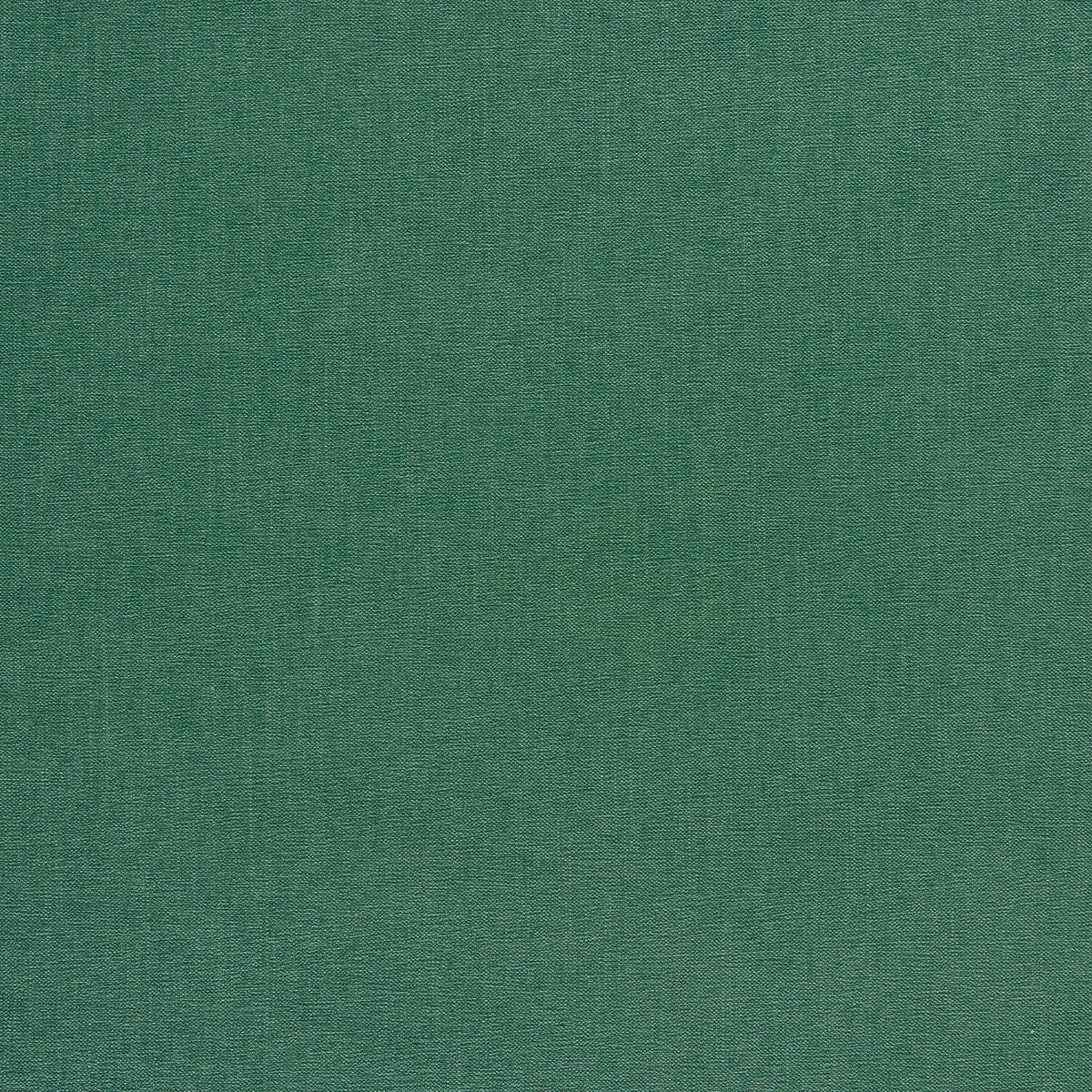 Clarke & Clarke JAIPUR EMERALD Upholstery Fabric