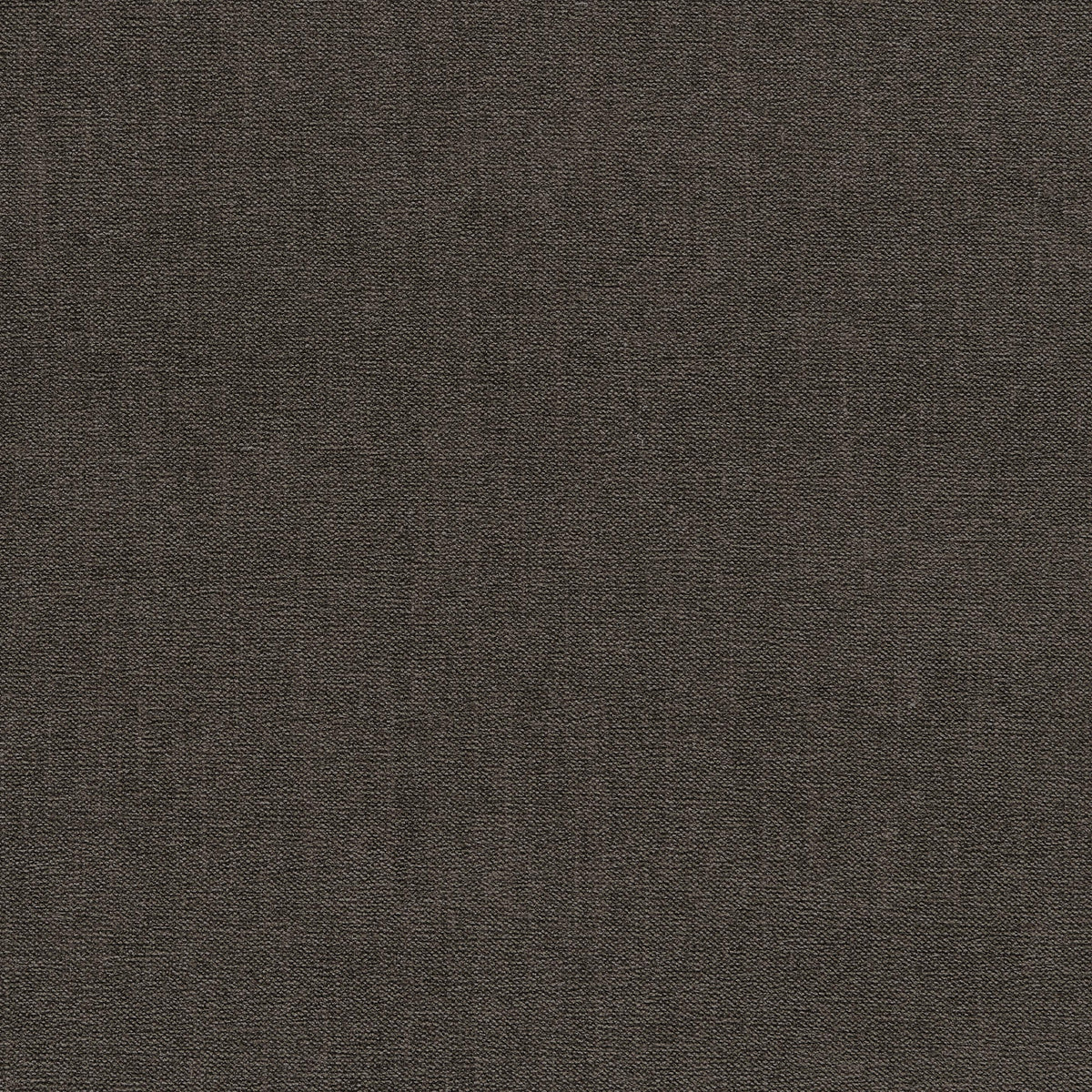 Clarke & Clarke JAIPUR ESPRESSO Upholstery Fabric