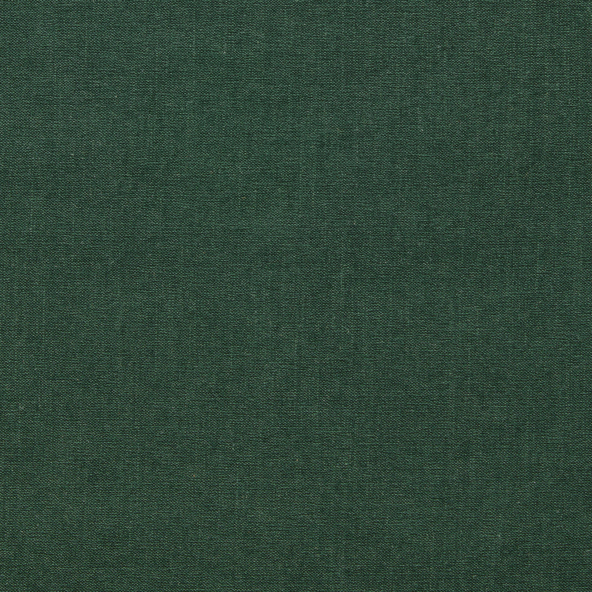 Clarke & Clarke JAIPUR FOREST Upholstery Fabric