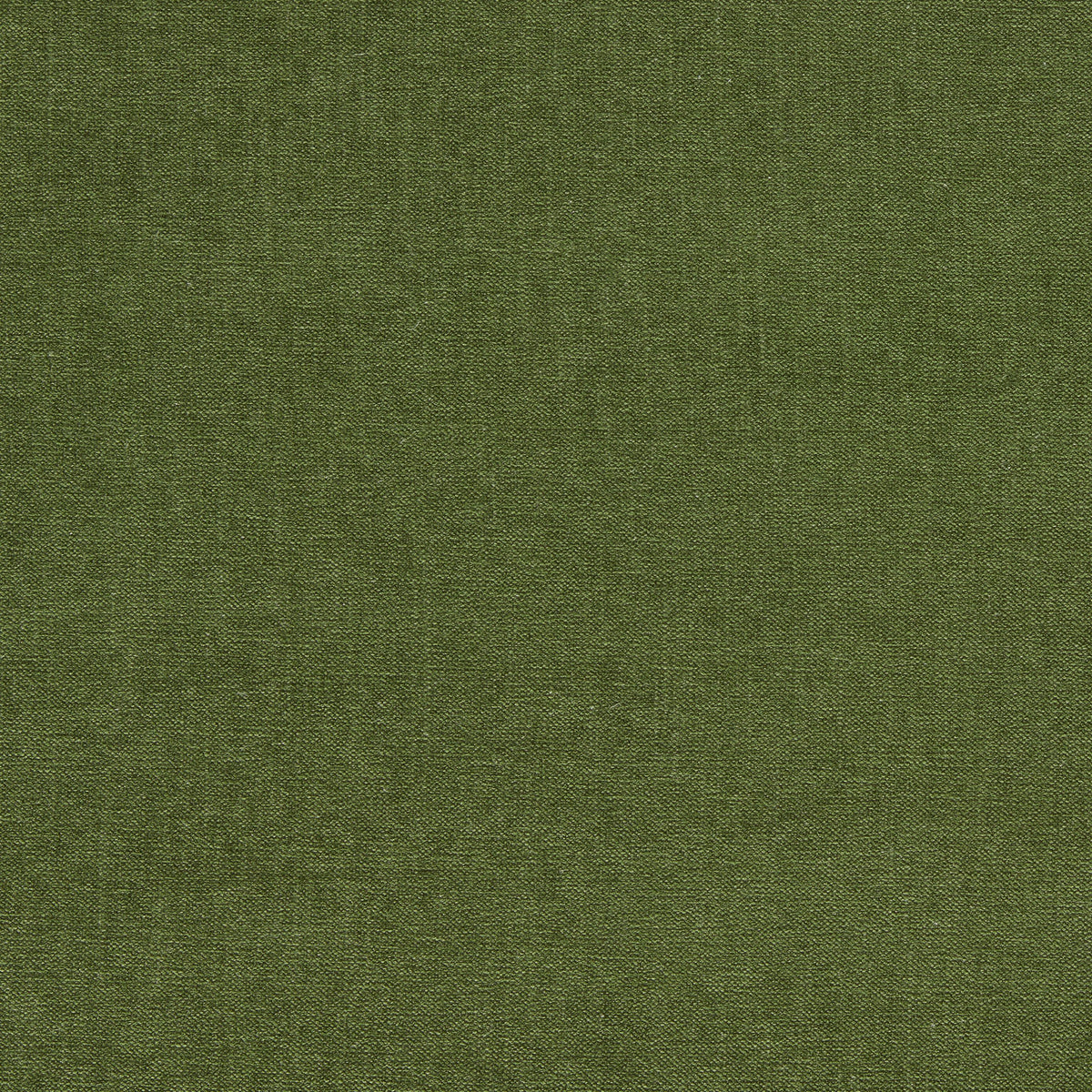 Clarke & Clarke JAIPUR HERB Upholstery Fabric