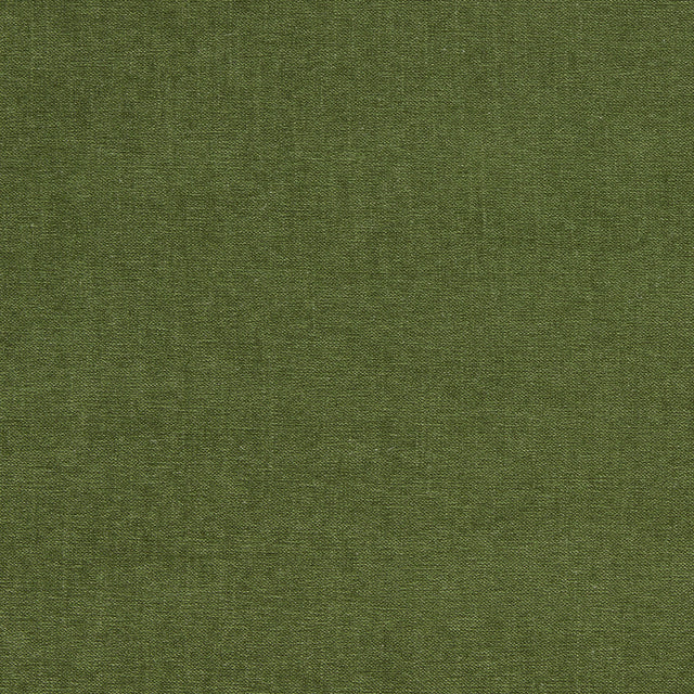 Clarke & Clarke JAIPUR HERB Upholstery Fabric