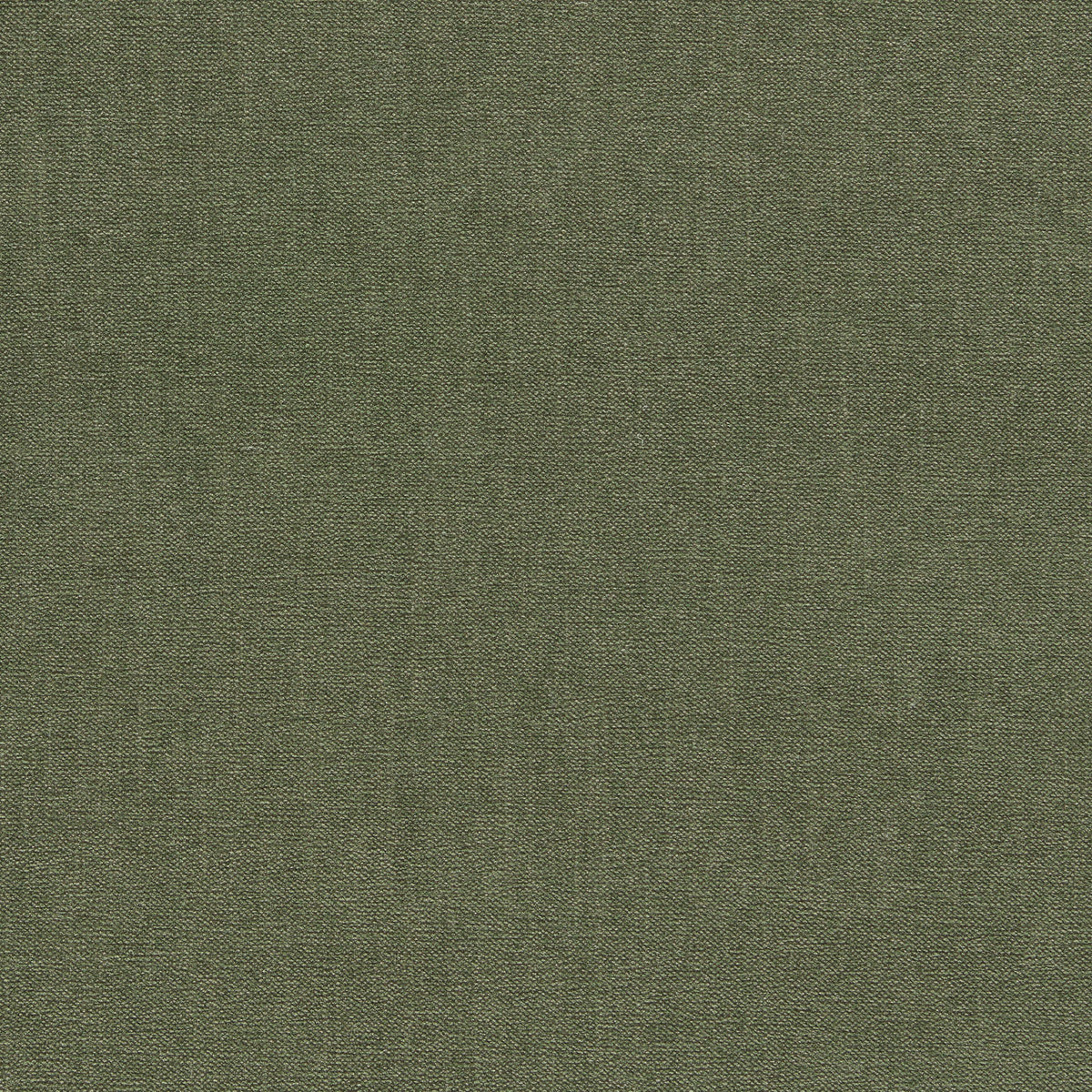 Clarke & Clarke JAIPUR MOSS Upholstery Fabric