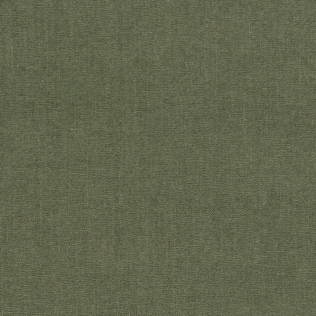 Clarke & Clarke JAIPUR MOSS Upholstery Fabric
