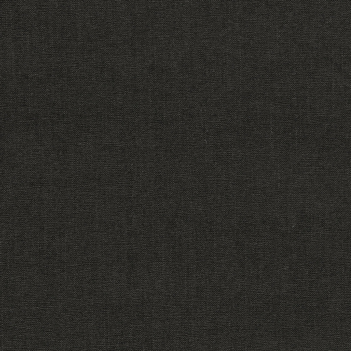 Clarke & Clarke JAIPUR NOIR Upholstery Fabric