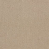 Clarke & Clarke JAIPUR PUTTY Upholstery Fabric