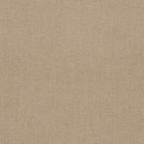 Clarke & Clarke JAIPUR SHALE Upholstery Fabric