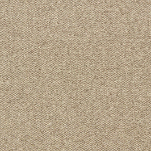 Clarke & Clarke JAIPUR TAUPE Upholstery Fabric