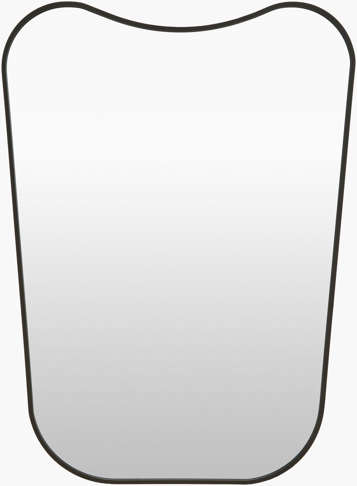 Livabliss Bellona OLO-006 24"H x 36"W x 1"D Mirror