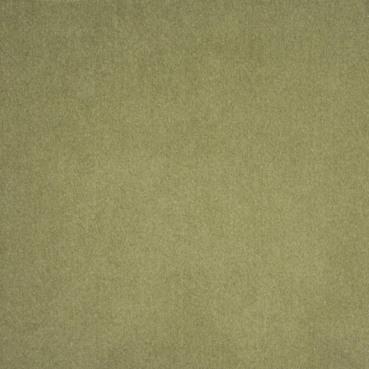 Maxwell CORONADO #406 SPROUT Fabric