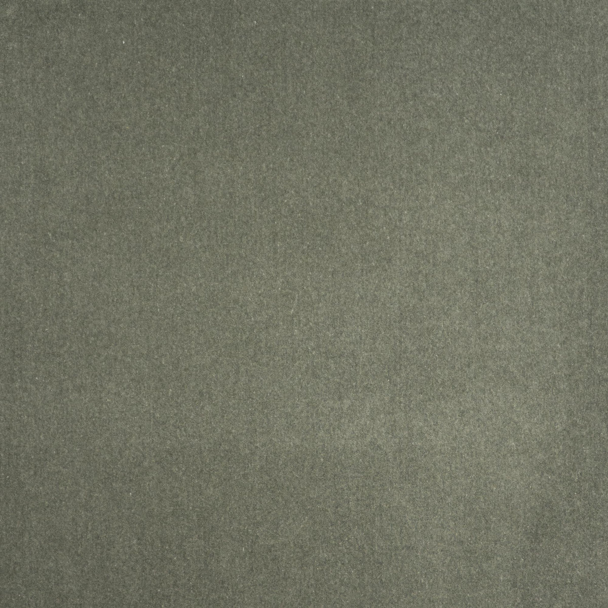 Maxwell CORONADO #407 LODEN Fabric