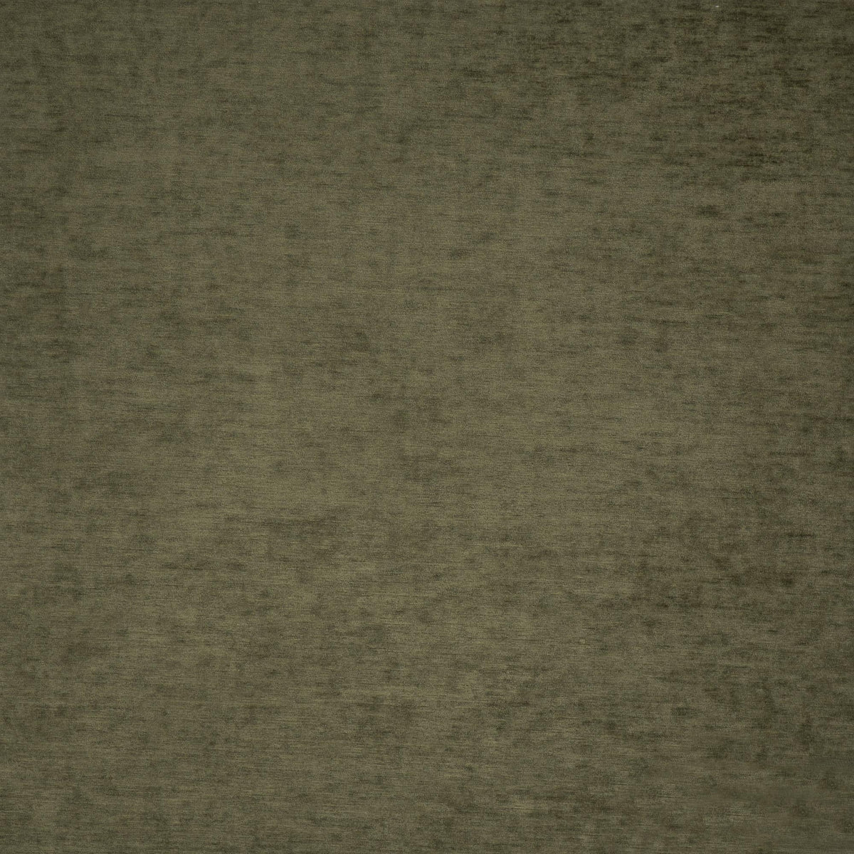 Maxwell HARRINGTON #509 SWAMP Fabric