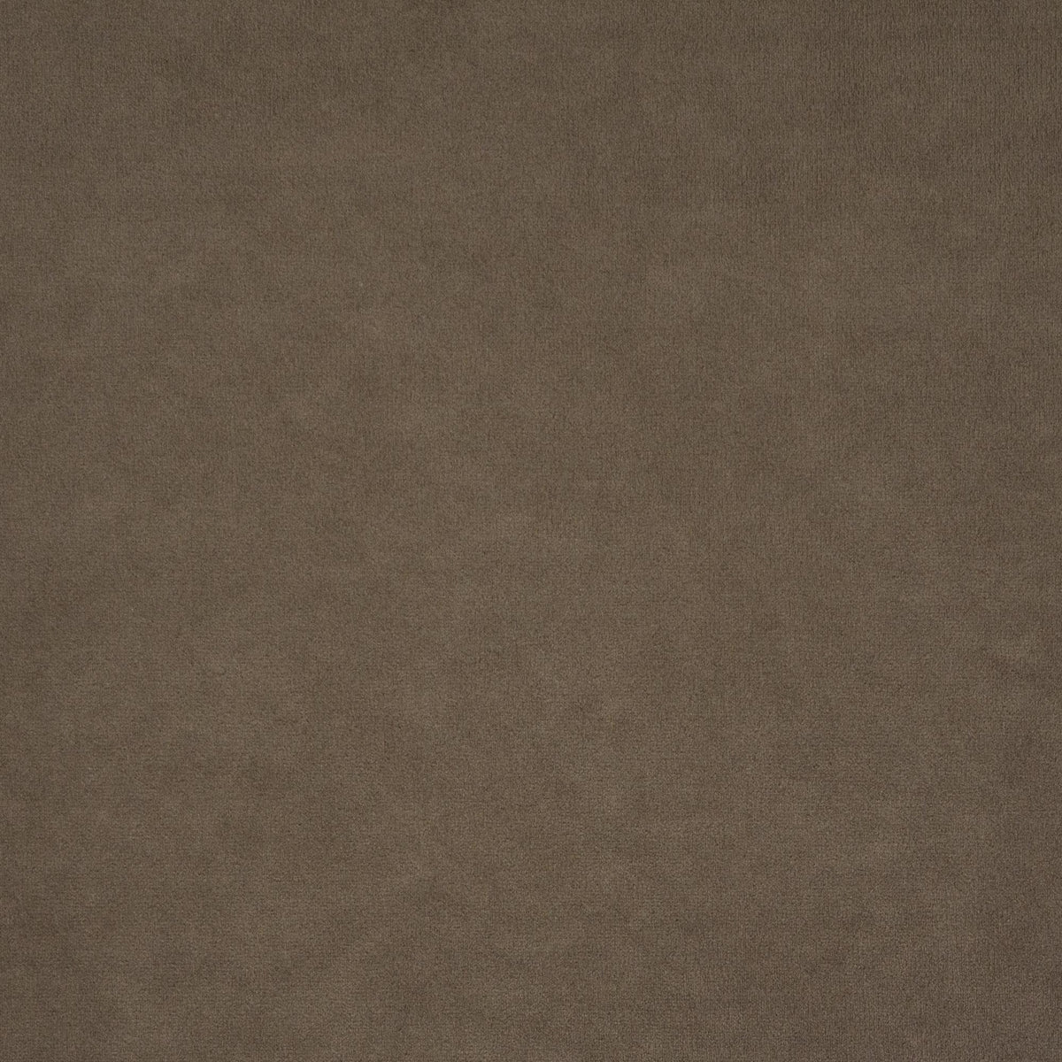 Maxwell VAGABOND-ESS #430 MINK Upholstery Fabric