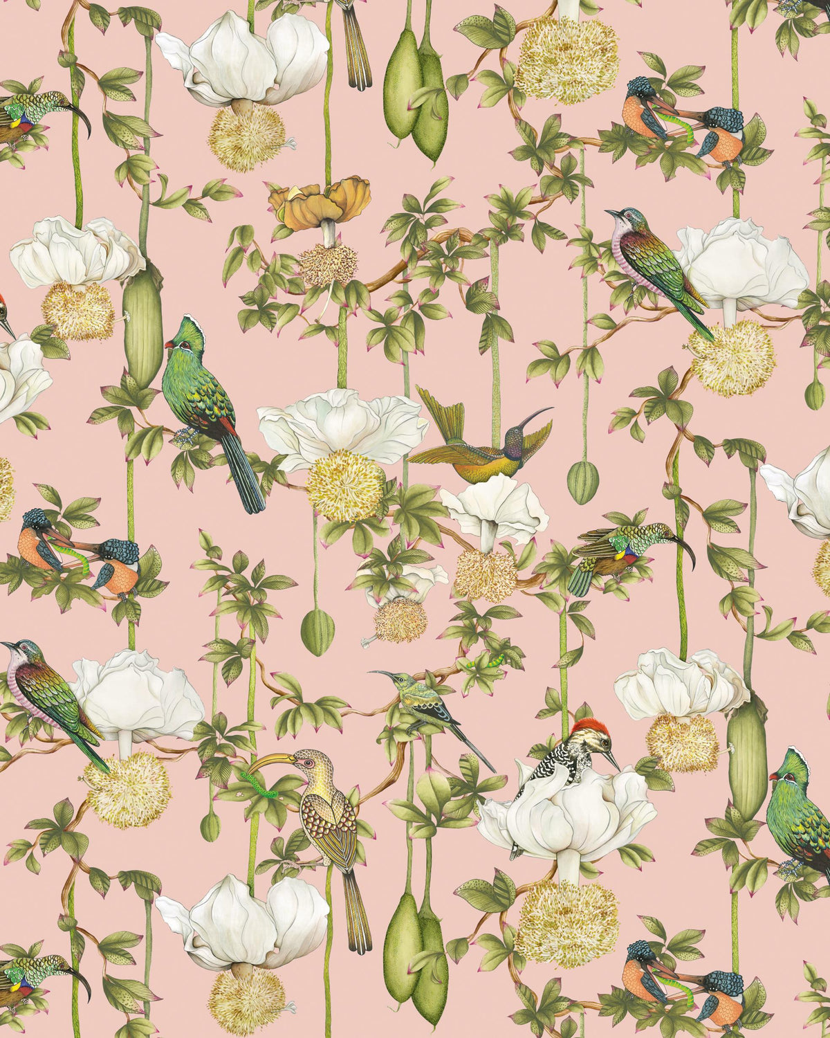 Cole & Son BAOBAB BOTANICA BLUSH Wallpaper