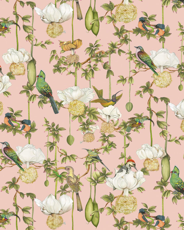 Cole & Son BAOBAB BOTANICA BLUSH Wallpaper