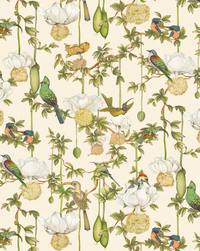 Cole & Son BAOBOB BOTANICA STONE Wallpaper