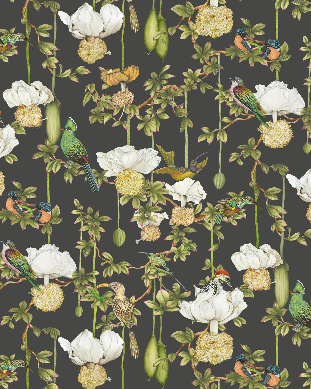 Cole & Son BAOBAB BOTANICA ONYX Wallpaper