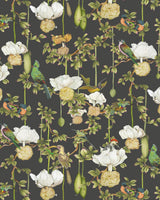 Cole & Son BAOBAB BOTANICA ONYX Wallpaper