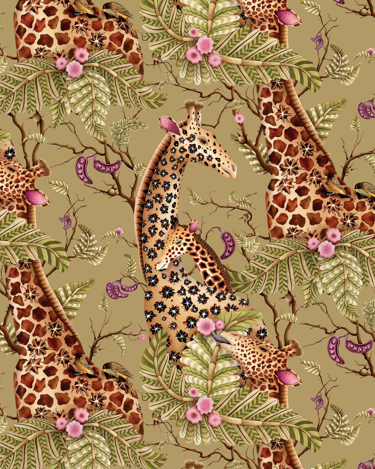 Cole & Son ROYAL GIRAFFE SAFARI Wallpaper