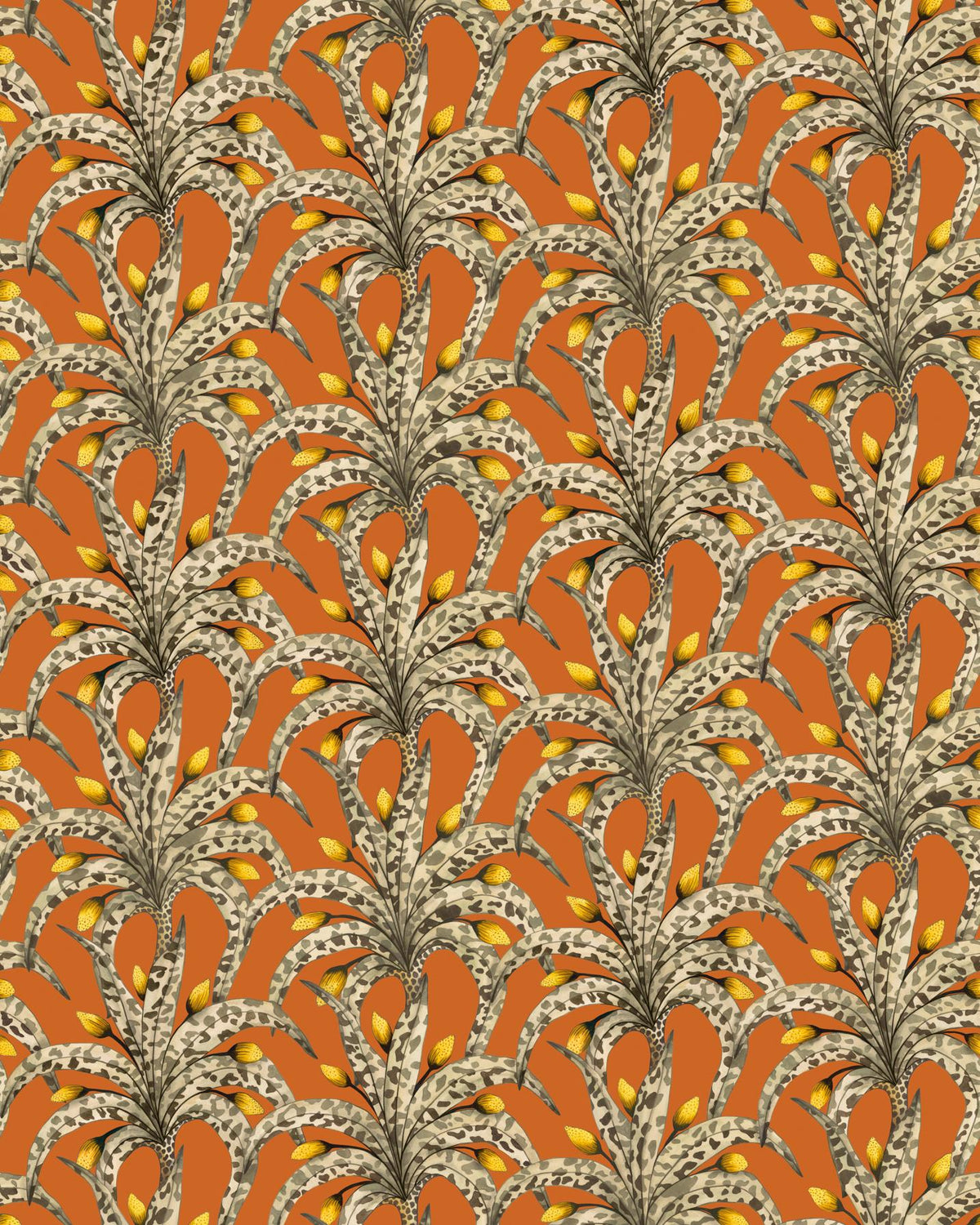 Cole & Son AFRIKA DAMASK TANGERINE Wallpaper