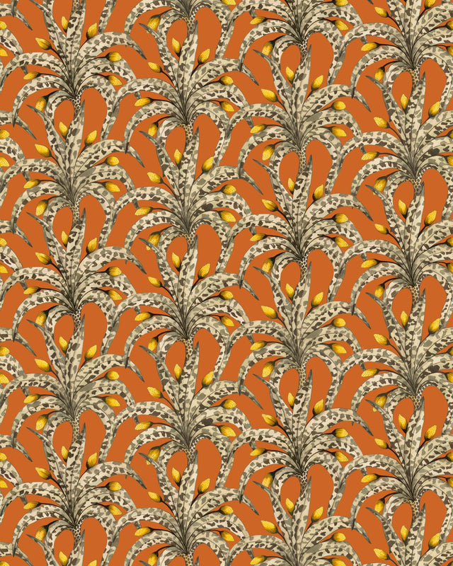 Cole & Son AFRIKA DAMASK TANGERINE Wallpaper