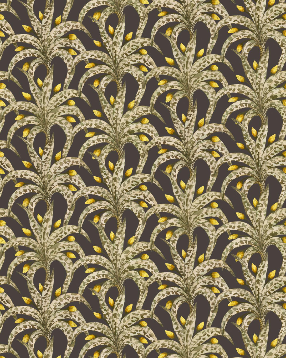 Cole & Son AFRIKA DAMASK ONYX Wallpaper