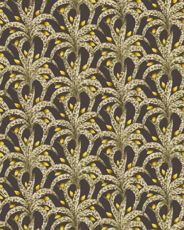 Cole & Son AFRIKA DAMASK ONYX Wallpaper