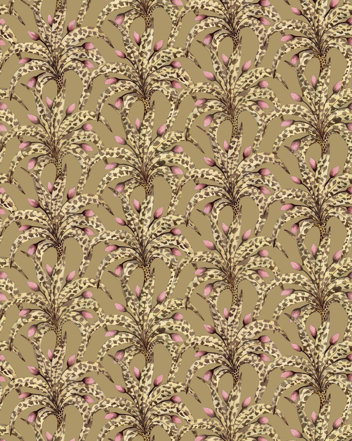 Cole & Son AFRIKA DAMASK SAFARI Wallpaper