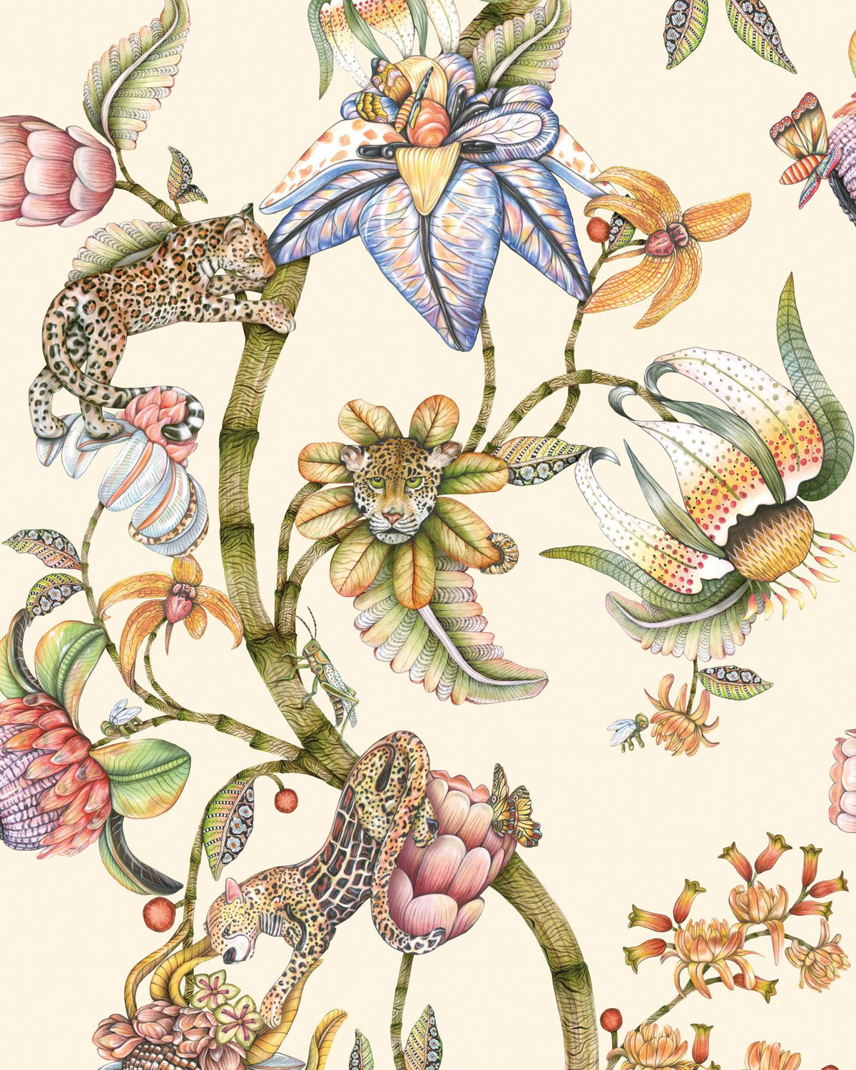 Cole & Son PROTEA PANTHERA STONE Wallpaper
