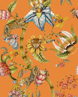 Cole & Son PROTEA PANTHERA CLEMENTINE Wallpaper