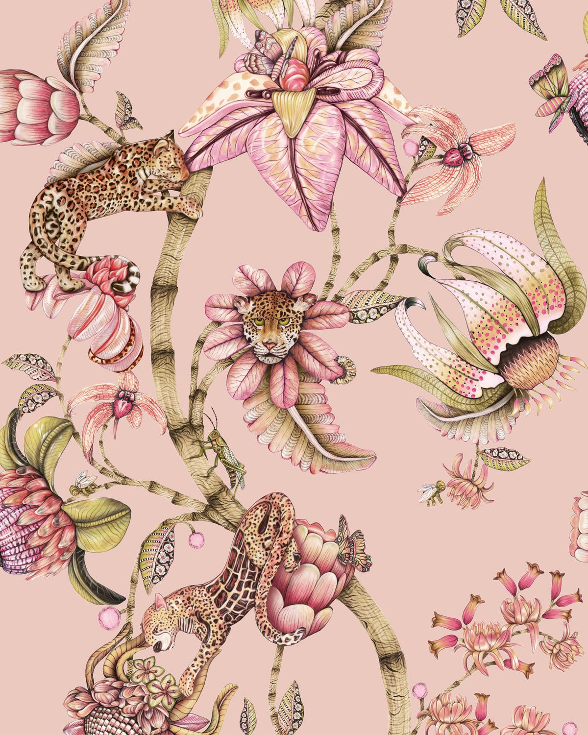 Cole & Son PROTEA PANTHERA RS QUARTZ Wallpaper