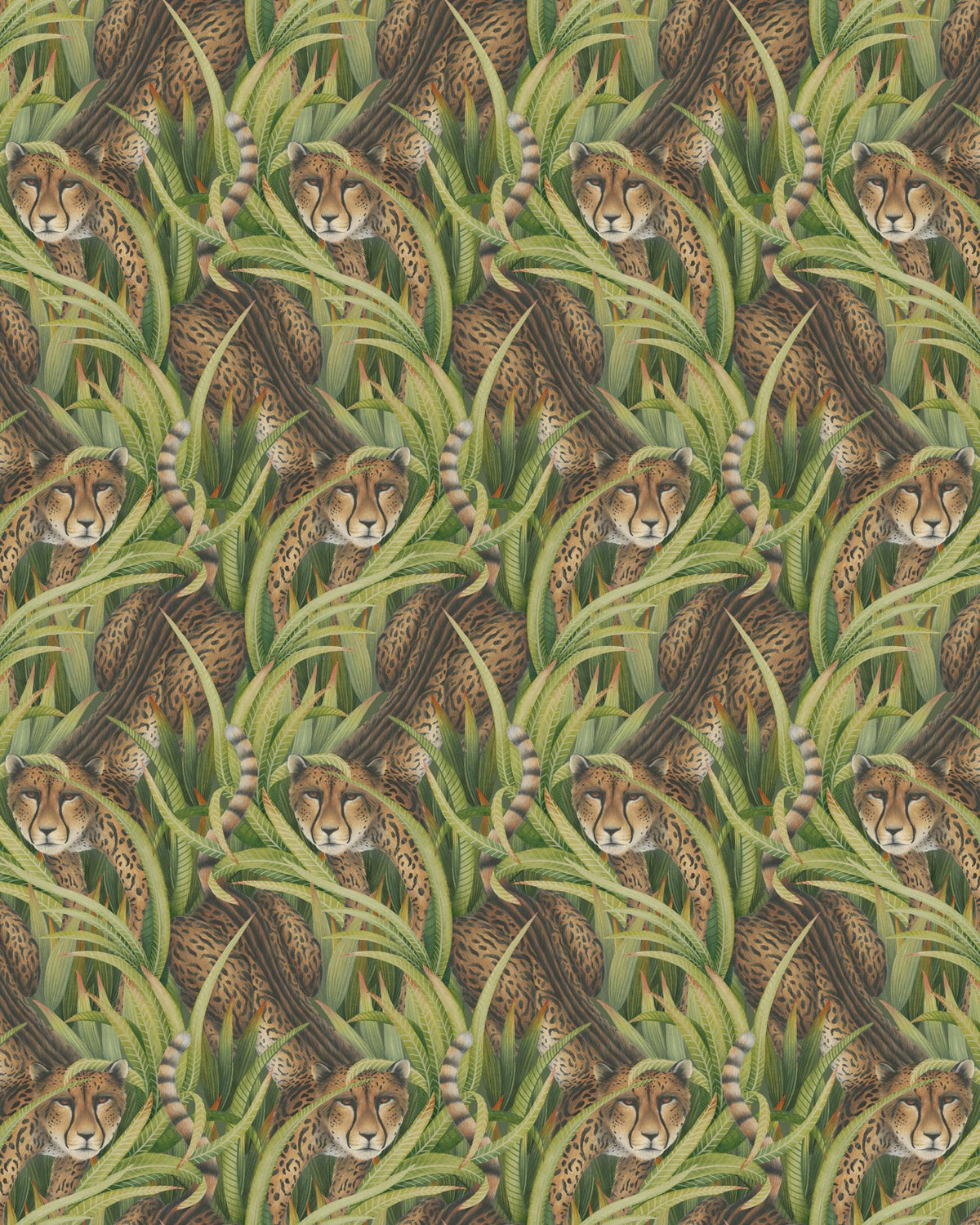 Cole & Son CHEETAH PROWL GRASS Wallpaper