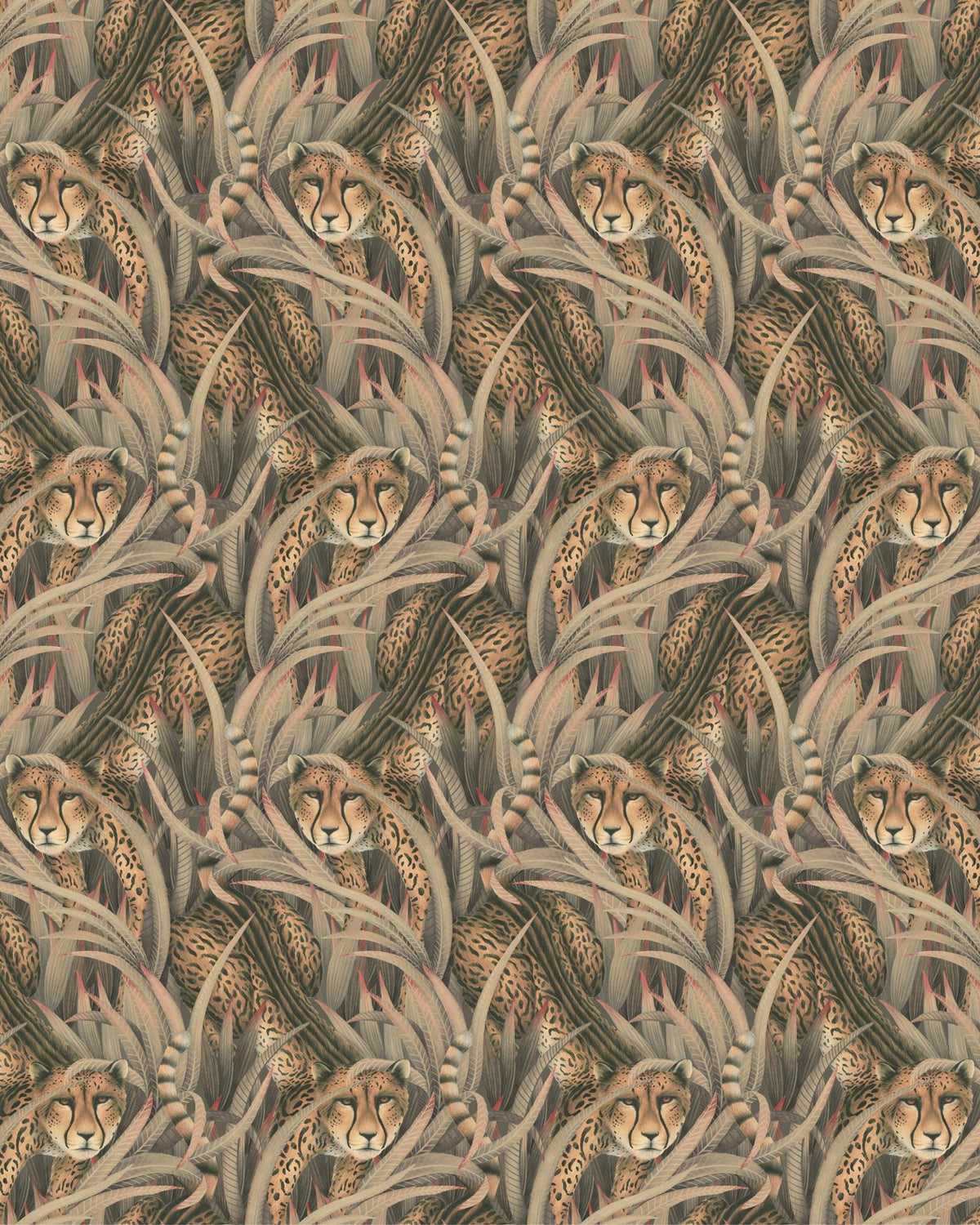 Cole & Son CHEETAH PROWL SLATE Wallpaper