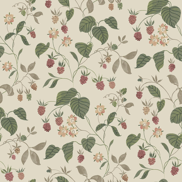 York Mercy Taupe Berry Vines Wallpaper