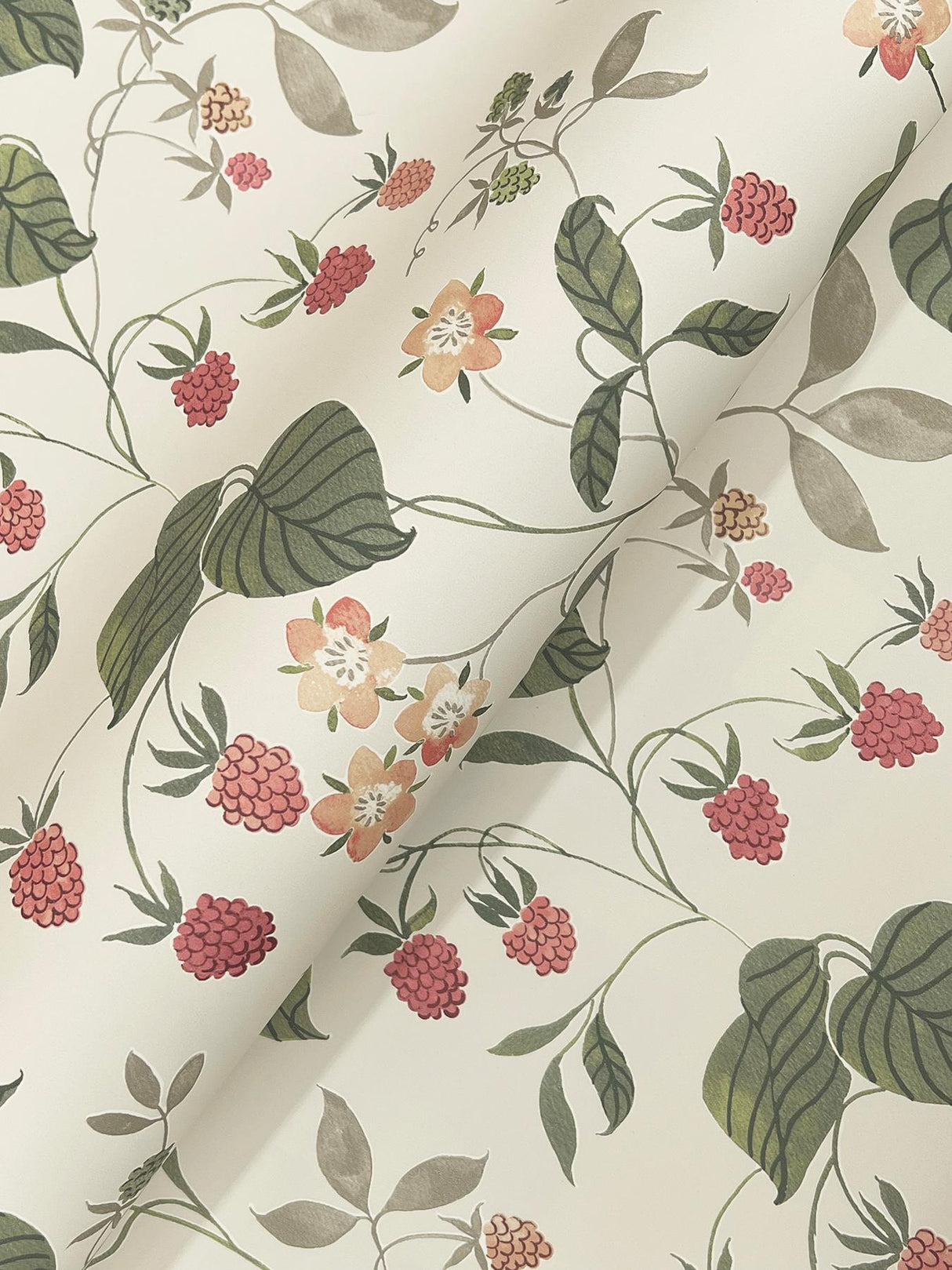 York Mercy Taupe Berry Vines Wallpaper