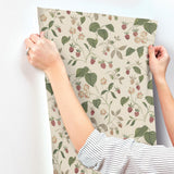 York Mercy Taupe Berry Vines Wallpaper