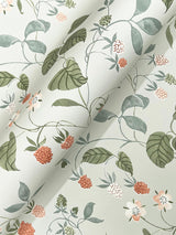 York Mercy Aqua Berry Vines Wallpaper