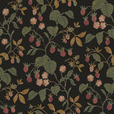 York Mercy Black Berry Vines Wallpaper