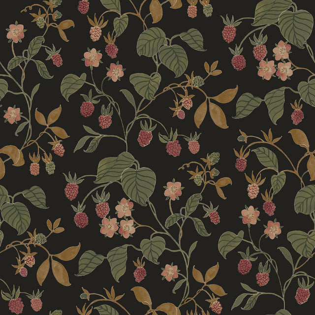 York Mercy Black Berry Vines Wallpaper