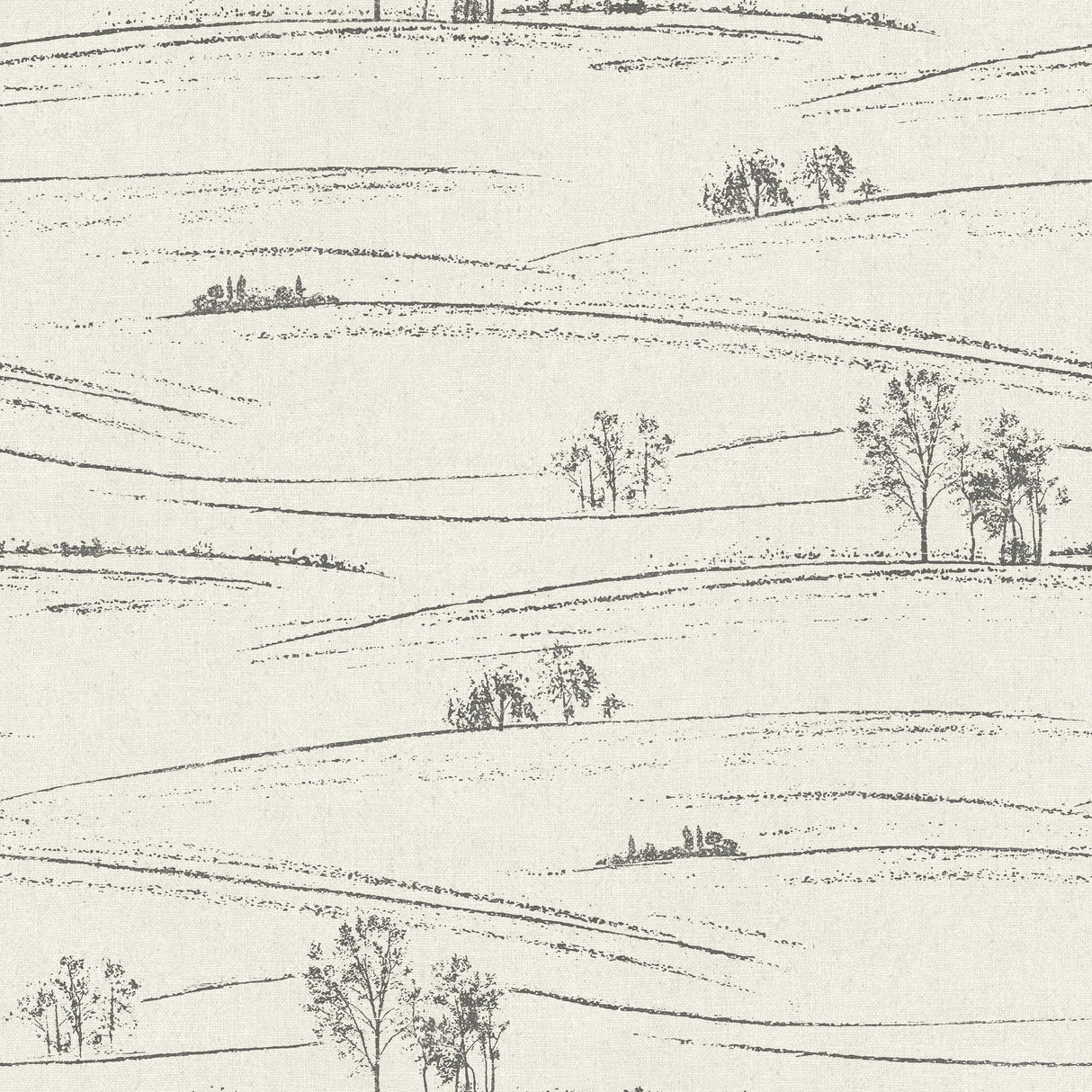 York Isaac Black Rolling Hills Wallpaper