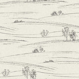 York Isaac Black Rolling Hills Wallpaper