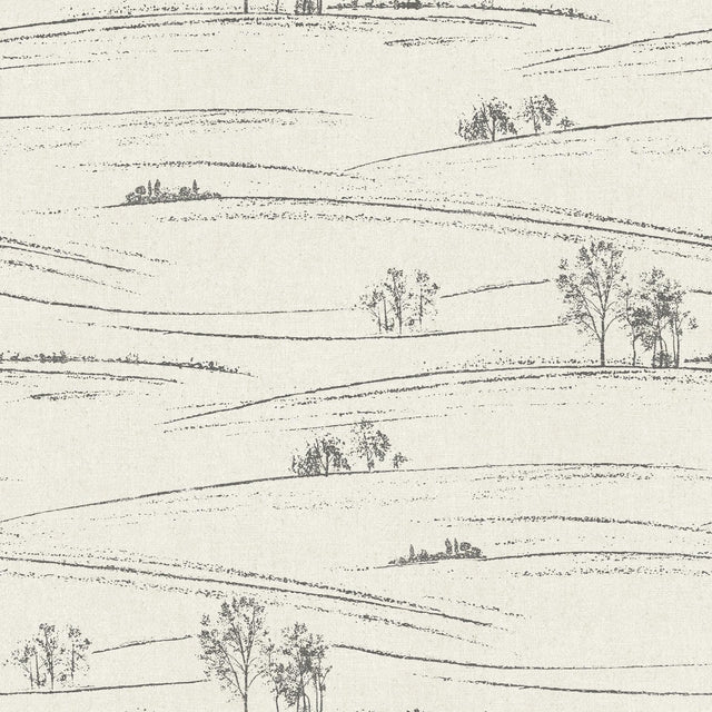 York Isaac Black Rolling Hills Wallpaper