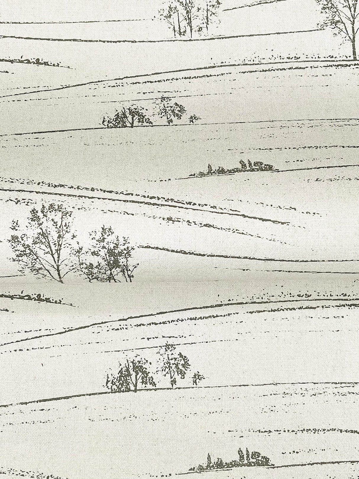 York Isaac Black Rolling Hills Wallpaper