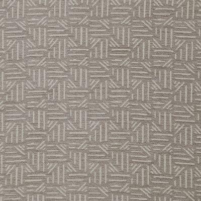 Pindler PALOMA ASH Fabric
