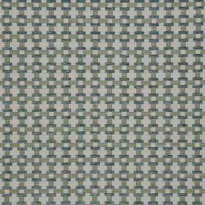 Pindler POPPY ALOE Fabric