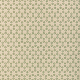 Lee Jofa BUOY MINT Upholstery Fabric