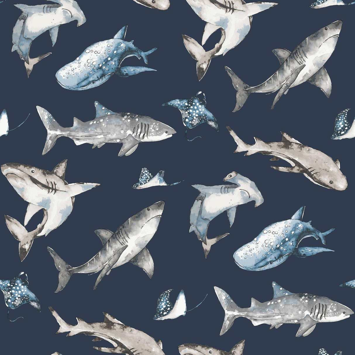 Galerie G78590 Kids and Teens Sharks Blue Wallpaper G78590 Blue Wallpaper