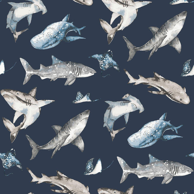 Galerie G78590 Kids and Teens Sharks Blue Wallpaper G78590 Blue Wallpaper