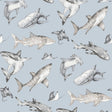 Galerie G78591 Kids and Teens Sharks Blue Wallpaper G78591 Blue Wallpaper